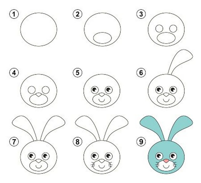 Blue-Faced Bunny Drawing