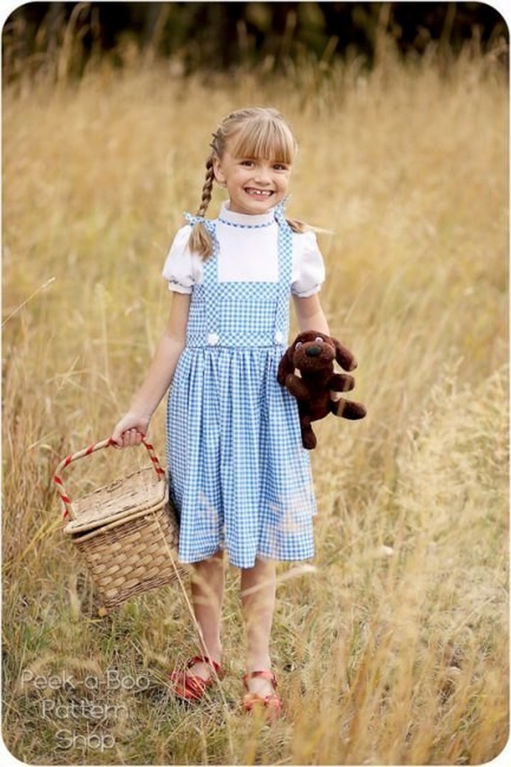 15 Easy Diy Dorothy Costume Ideas For Humble Girl Look Julie Ann Art