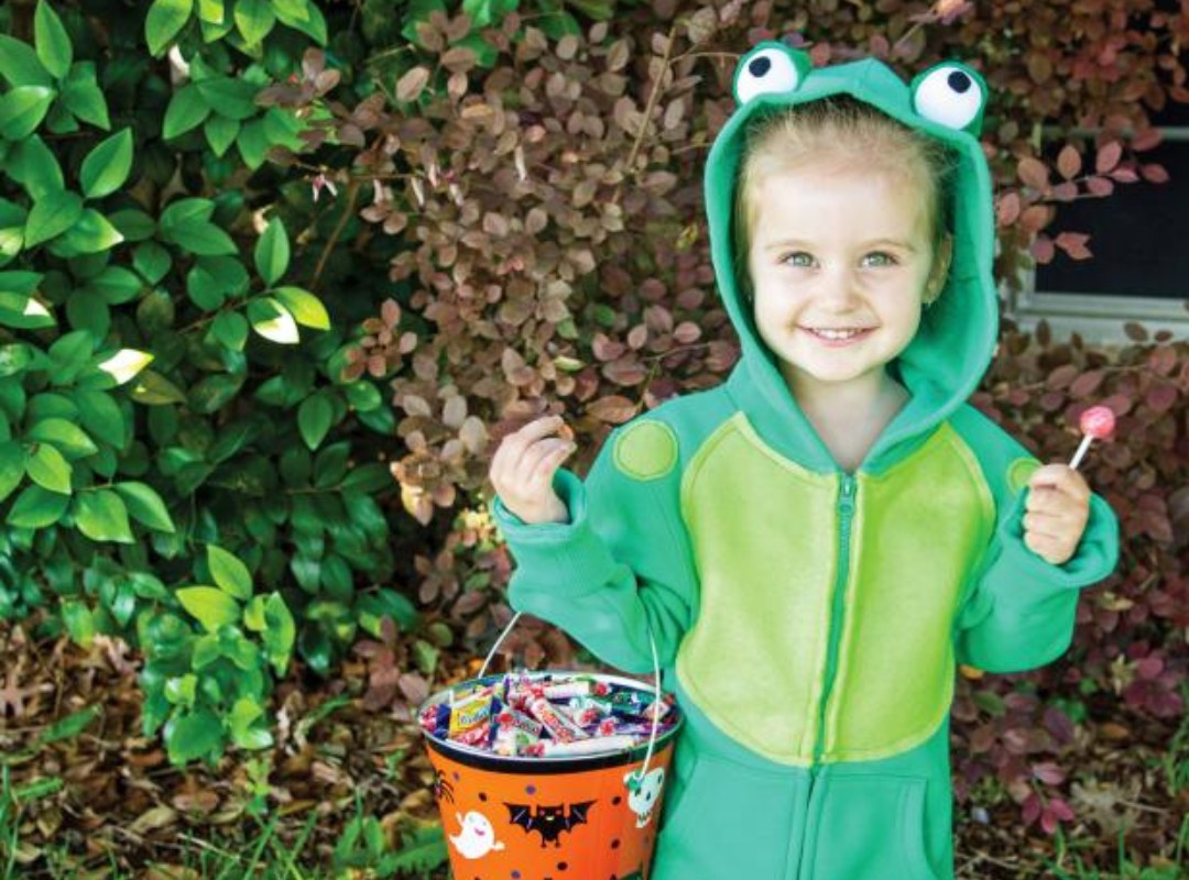 11 DIY Frog Costume Ideas For Jumping And Crawling - Julie Ann Art