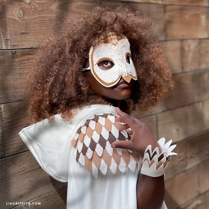 Felt bird Mask And Accessories