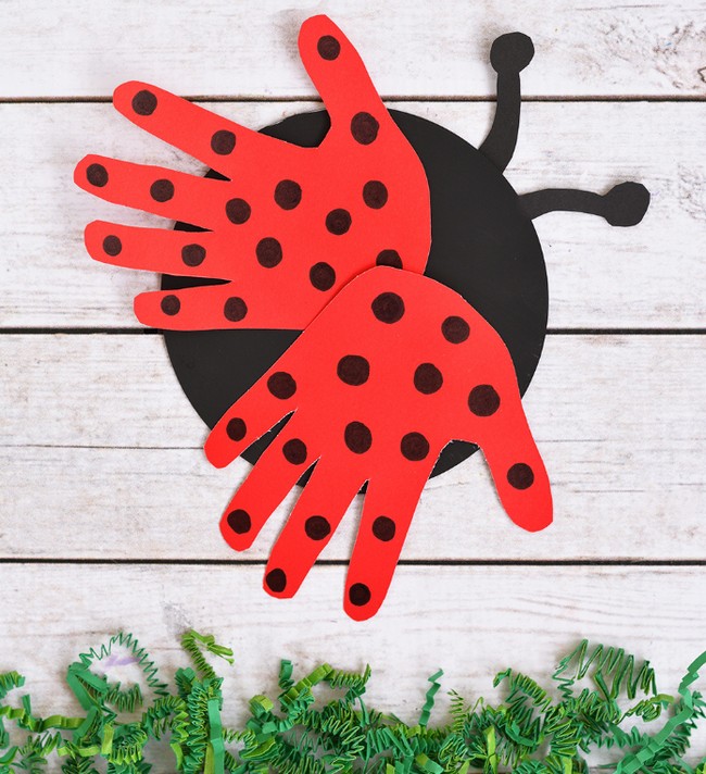 Recycled Cd Ladybug Craft For Kids
